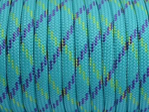 7 Strand Core 550lb Paracord Parachute Cord Lanyard Mil Spec Type III-100ft) by Unknown