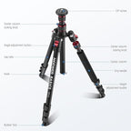 NEEWER Basics TP15 Camera Tripod Monopod, Ball Head Not Included - Image 8