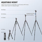 NEEWER Basics Carbon Fiber Travel Tripod Monopod, Arca Type Ball Head, Max Load - Image 3