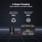 Renogy Solar Charge Controller Rover 40A 12V24V Auto Parameter DC Input MPPT - Image 3