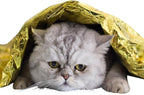 GALAXYLENSE Emergency Mylar Thermal Blanket - Image 9