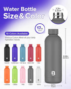 Insulated Water Bottle with Lid, 17 oz Reusable Leak-Proof Metal Stainless - Image 4