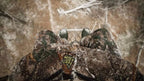Hunter Safety System Muff-Pak: Polar Fleece Hand Warmer, Front and Back Pockets - Image 6