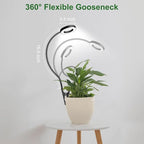 Wolezek 2 in 1 Grow Lights for Indoor Plants, 3 Colors Plant Lights - Image 5
