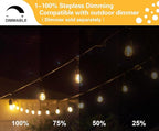 SUNTHIN Outdoor String Lights, 48FT Commercial Grade String Light - Image 3