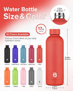 Insulated Water Bottle with Lid, 17 oz Reusable Leak-Proof Metal Stainless - Image 4