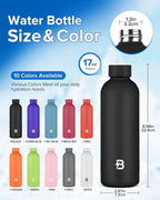 Insulated Water Bottle with Lid, 17 oz Reusable Leak-Proof Metal Stainless - Image 4
