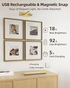 EZVALO 16" Picture Lights for Wall, Rechargeable 6000mAh Painting Lights - Image 4