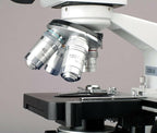 AmScope 40X-2500X LED Digital Monocular Compound Microscope - Image 4