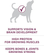 Purina ONE Plus Healthy Puppy Formula High Protein Natural Dry Puppy Food - Image 4