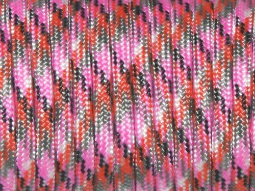 7 Strand Core 550lb Paracord Parachute Cord Lanyard Mil Spec Type III-100ft) by Unknown