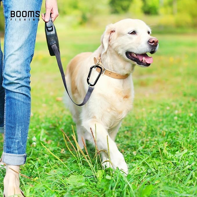 Booms Fishing CC2 Carabiner Clip, 2.3" Small Carabiner Keychain - Image 4