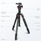 NEEWER Basics Carbon Fiber Travel Tripod Monopod, Arca Type Ball Head, Max Load - Image 8