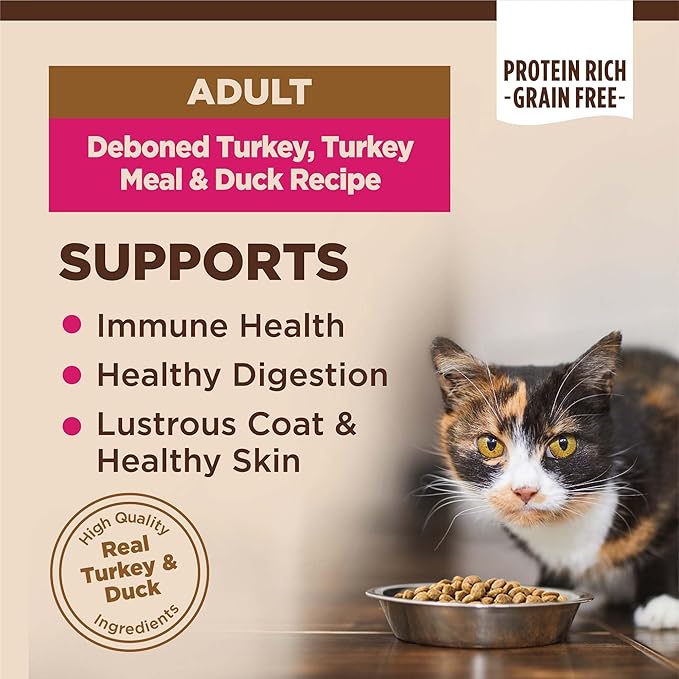 Wellness CORE Adult Dry Cat Food, Grain Free Kibble, Turkey and Duck Recipe - Image 2