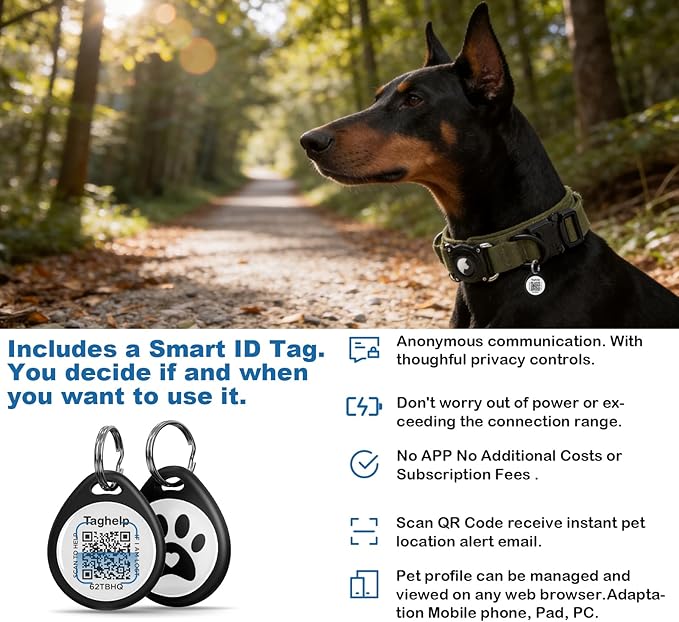 Waterproof AirTag Dog Collar - Image 8