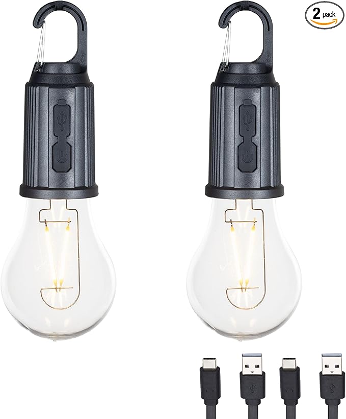 2-Pack Rechargeable Camp Light, Warm White LED Globe Bulb, Battery Powered by FestiveLiving