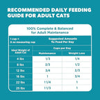 IAMS Proactive Health Dry Cat Food, Indoor Weight and Hairball Care Cat Food - Image 9