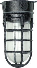 Woods L1706BLK Vandal Resistant 150W Incandescent Security Light, Ceiling Mount by Woods
