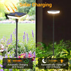 Solar Lights Outdoor Pathway 8 Pack IP65 Waterproof 31" Solar Garden Lights 2 - Image 3