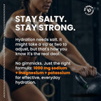 Venture Pal High Sodium Electrolyte Powder Packets | Sugar Free Hydration Drink - Image 4