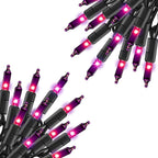 TW SHINE Purple Halloween Lights, 2 Pack 20FT 100 Count Incandescent Halloween by TWSHINE