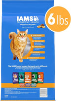 IAMS Healthy Enjoyment Dry Cat Food Chicken & Salmon Recipe, Cat Food Dry Recipe - Image 2
