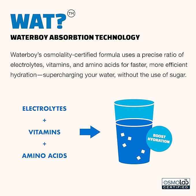 Waterboy Weekend Recovery | 3, 187mg Electrolyte Powder Packets | Ginger + - Image 6