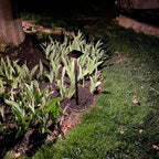 Super Bright 300 Lumens Solar Pathway Lights Outdoor, 2 Lighting Color Modes - Image 8