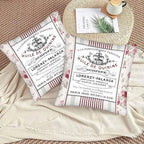 Huile De Quinine Vintage French 18 X 18 Pillow Covers Elegance Fountain Pink - Image 3