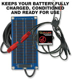 PulseTech SolarPulse Solar Battery Charger Maintainer, 3 Watt - Image 6