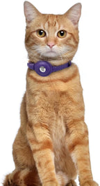 OOPSDOGGY Leather AirTag Cat Collar - Image 6