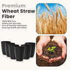 Homienly Kitchen Cups 20oz Wheat Straw Cups-6 pcs Lightweight cups Unbreakable - Image 3