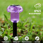 Priddop Solar Lights Outdoor Pathway Waterproof 8 Pack Purple LED Acrylic - Image 7