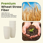 Homienly Wheat Straw Cups 12oz Unbreakable & Easy to Clean Cups Reusable - Image 3