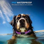 Upgraded AirTag Dog Collar, IP68 Waterproof Air Tag Dog Collar Holder, - Image 5