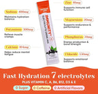 Venture Pal 2-in-1 Hydration + Immune Electrolytes Powder Packets - Image 4
