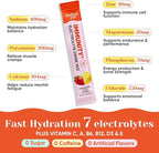 Venture Pal 2-in-1 Hydration + Immune Electrolytes Powder Packets - Image 4