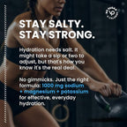 Venture Pal High Sodium Sugar Free Electrolytes Powder Packet, Zero Calories - Image 4