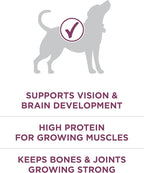 Purina ONE Plus Healthy Puppy Formula High Protein Natural Dry Puppy Food - Image 3