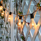 10 Pack ST40 Replacement Bulbs for Outdoor String Lights, 7W E17 Intermediate - Image 9