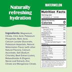 Ultima Replenisher Daily Electrolyte Powder Drink Mix – Sugar Free – Watermelon - Image 3