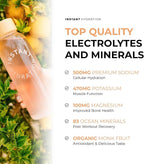Instant Hydration Electrolytes Powder Packets - Image 3