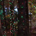 TW SHINE Christmas Mini String Lights, 20FT 100 Count Incandescent Mini - Image 7
