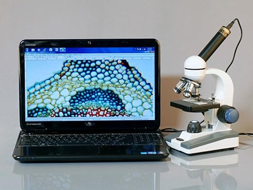 AmScope M150C-PB10-WM Compound Monocular Microscope, WF10x and WF25x Eyepieces - Image 4