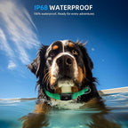 Upgraded AirTag Dog Collar, IP68 Waterproof Air Tag Dog Collar Holder, - Image 2