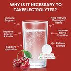 Venture Pal Sugar Free Electrolyte Powder Packets - Image 5
