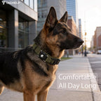 Waterproof AirTag Dog Collar - Image 7