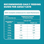 IAMS Proactive Health Dry Cat Food, Indoor Weight and Hairball Care Cat Food - Image 9