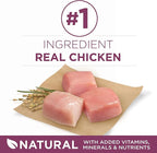 Purina ONE Puppy Food, High Protein Formula | Natural Ingredients | Added - Image 5