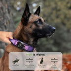 2026 Upgrade Waterproof AirTag Dog Collar, Military Tactical Dog Collar - Image 6
